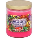 Smoke Odor Candle 13oz Trippy Hippie