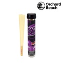 Rolling Cone Raw Orchard Beach Terpene Infused Grape Tree Box of 12