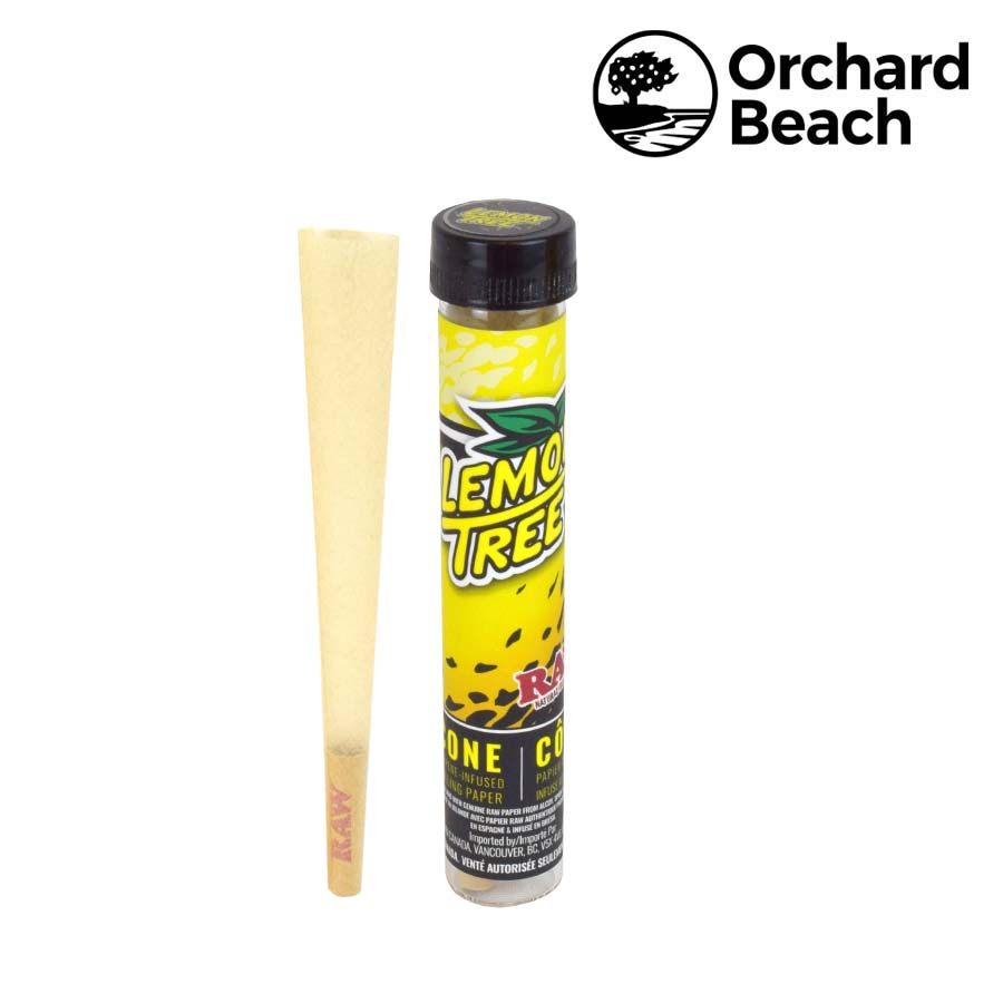 Rolling Cone Raw Orchard Beach Terpene Infused Lemon Tree Box of 12