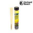 Rolling Cone Raw Orchard Beach Terpene Infused Lemon Tree Box of 12