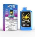 Ontario *EXCISED* Disposable Vape Mr Fog NOVA Blue Razz Steezy Grape Box of 5