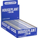 Rolling Papers Houseplant by OCB Classic 1.25 Box of 24
