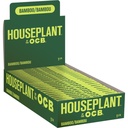 Rolling Papers Houseplant by OCB Bamboo 1.25 Box of 24