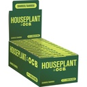 Rolling Papers Houseplant by OCB Bamboo 1.25 Box of 24 With Filters