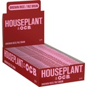 Rolling Papers Houseplant by OCB Brown Rice 1.25 Box of 24