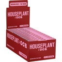 Rolling Papers Houseplant by OCB Brown Rice 1.25 Box of 24  With Filters