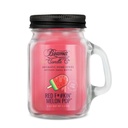 Candle Beamer Double Shot Aromatic Home Series Red F*#kin' Melon Pop Small Glass Mason Jar 4oz