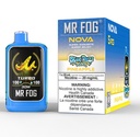 Federal *EXCISED* Disposable Vape Mr Fog NOVA Blue Razz Steezy Pineapple Box of 5