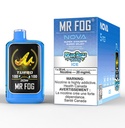 Federal *EXCISED* Disposable Vape Mr Fog NOVA Blue Razz Steezy Ice Box of 5