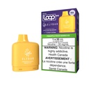 Manitoba *EXCISED* Nicotine Pod STLTH Loop Max Elfbar 50k Pineapple Peach Mango Ice Box of 4